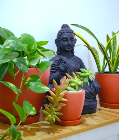 Kullad Planter Large (Set of 3)