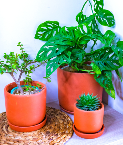Sage Planter Large (Set of 3)