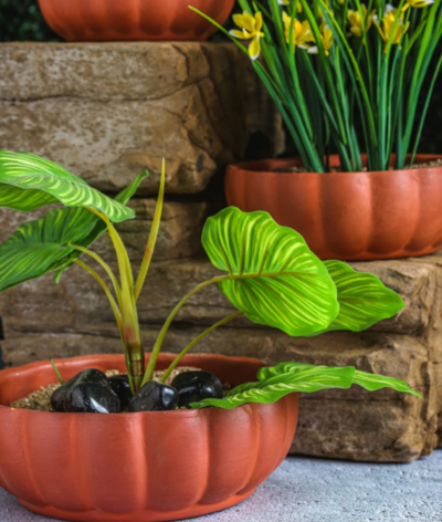 Inverted Dome Terracotta Planters (Set of 3)