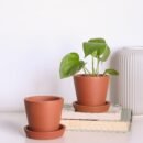Sakora Terracotta Pots (Set of 2)