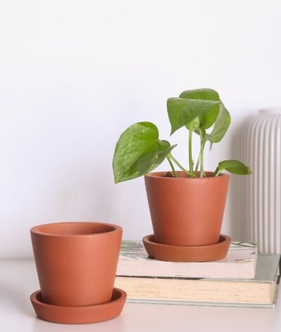 Sakora Terracotta Pots (Set of 2)