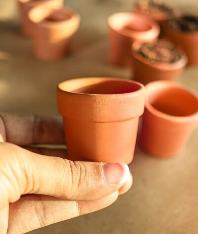 Miniature Seedling Terracotta Pots (Set of 12)