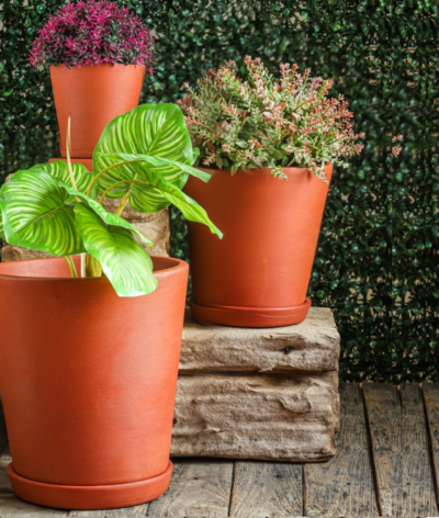 Traditional Large Planter (Set of 3)