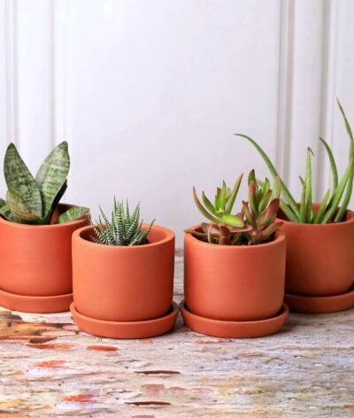 Sage Terracotta Planters (Set of 4)
