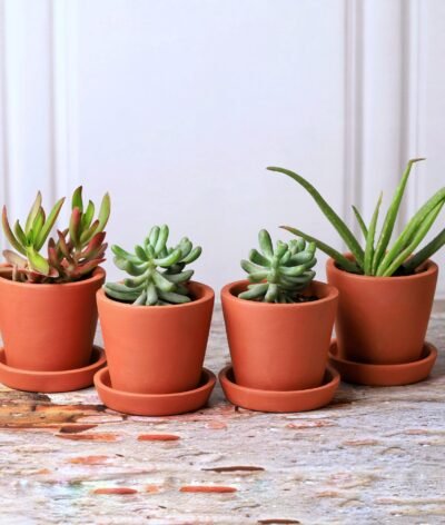 Cone Terracotta Planters (Set of 4)