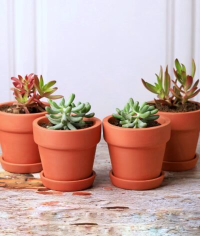 Traditional Terracotta Planters (Set of 4)