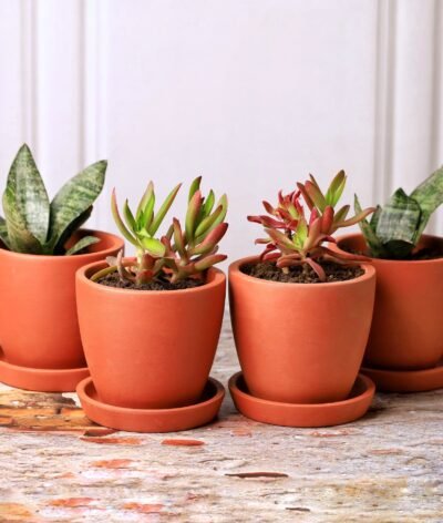 Kullad Terracotta Planters (Set of 4)