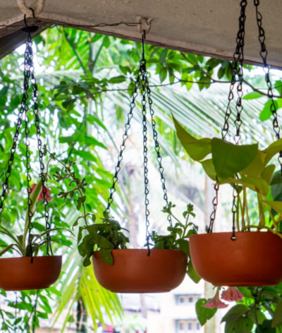 Hanging Terracotta Bowl Planters