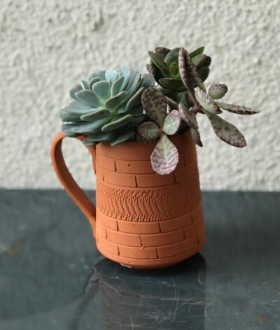 Pitcher Terracotta Planters (Set of 4)