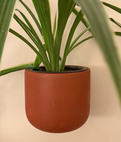 Wall Mount Terracotta Pots
