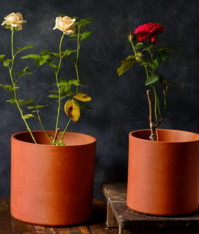 Patina Passion Terracotta Planters (Set of 2)